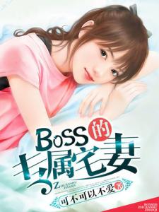 BOSS的专属宅妻