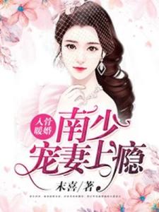 入骨暖婚：南少宠妻上瘾